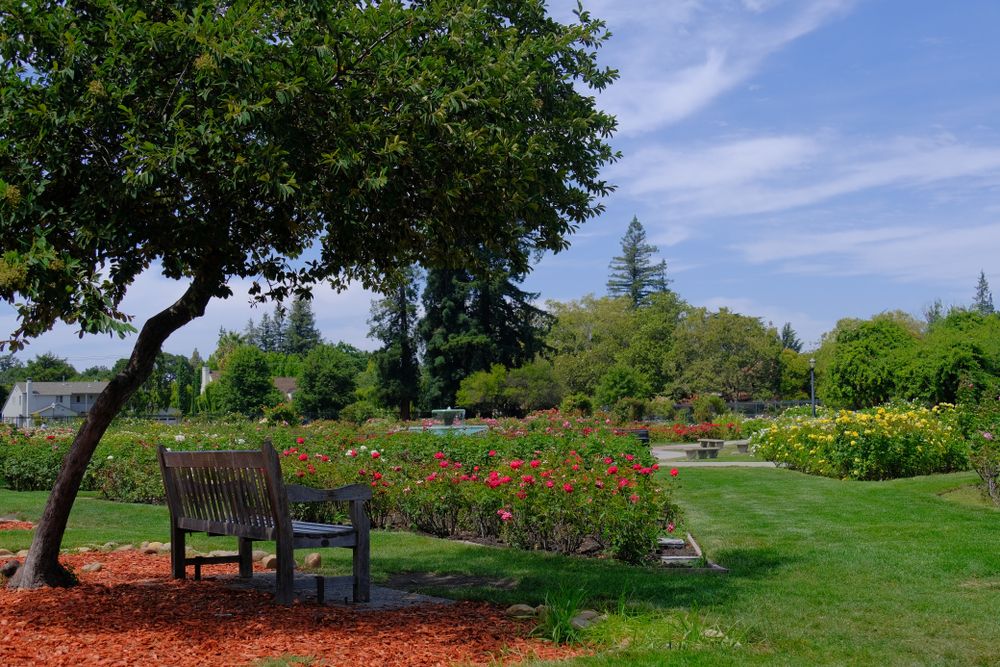 Scenic view of Municipal Rose Garden