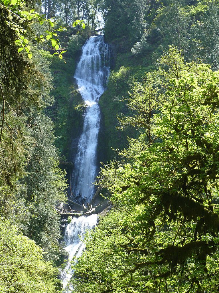 Munson Creek Falls State Natural Site in Tillamook
