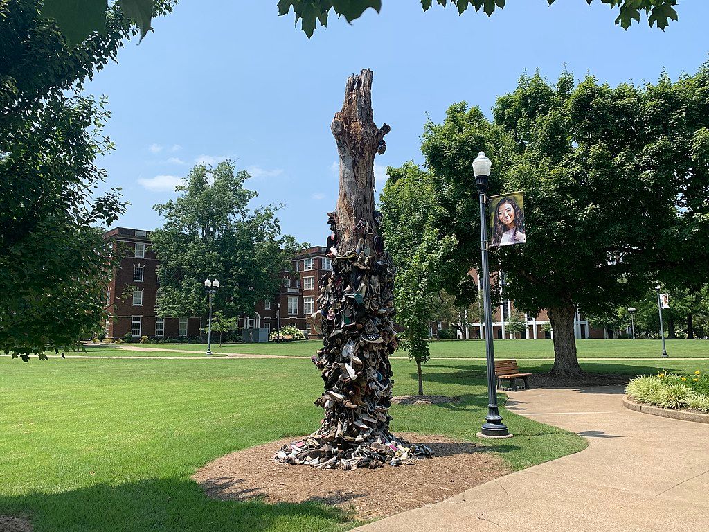 Daytime view of the Murray State University Shoe Tree