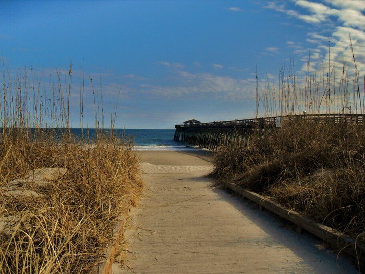 Sand trail at Myrtle Beach State Park