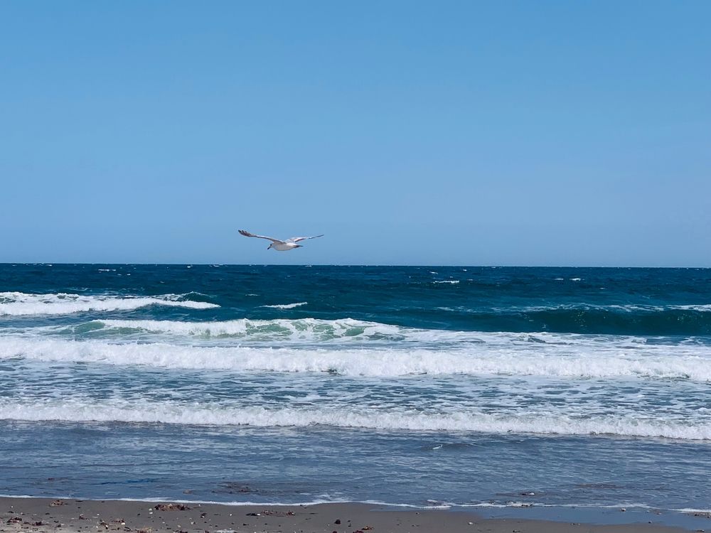 Waters of Narragansett Beach