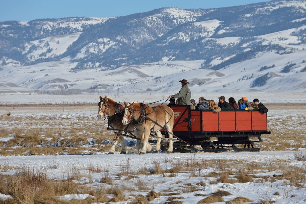 Tourist enjoying the sleigh rides at National Elk Refuge