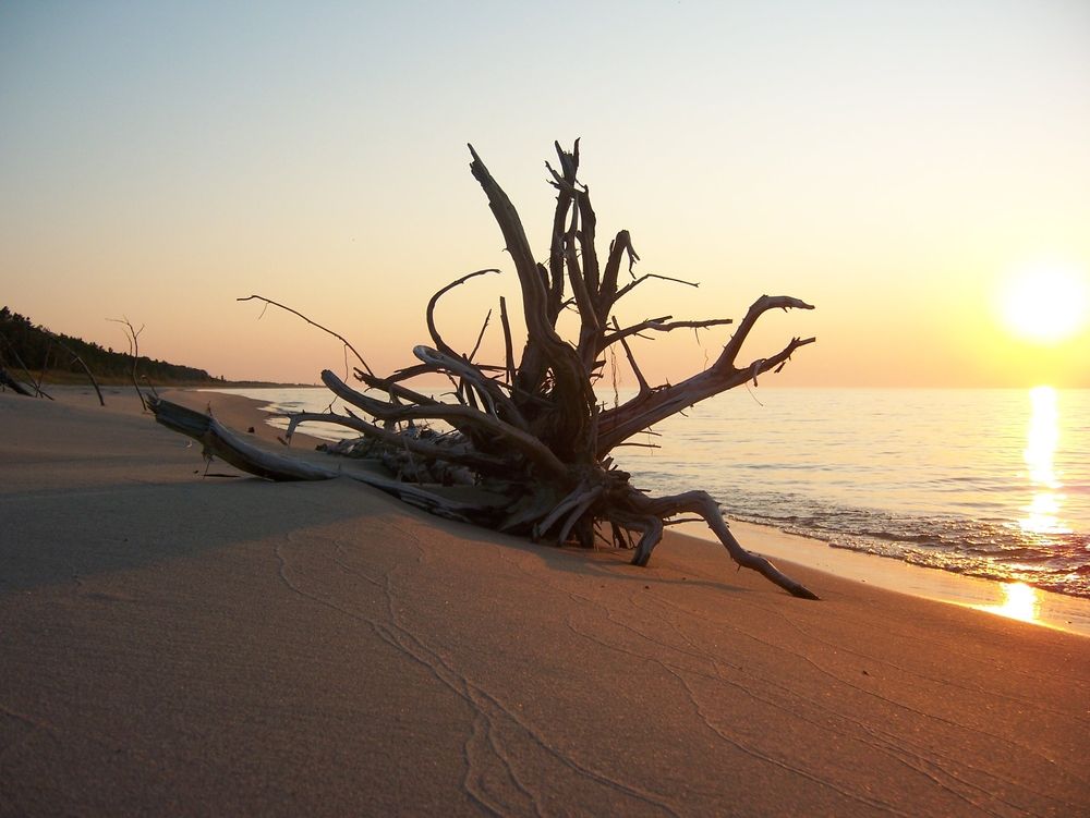 Nordhouse Dunes Wilderness