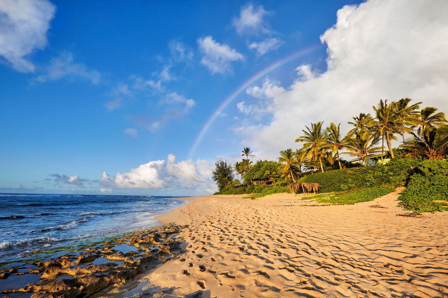 15 Best Things to Do in North Shore, HI