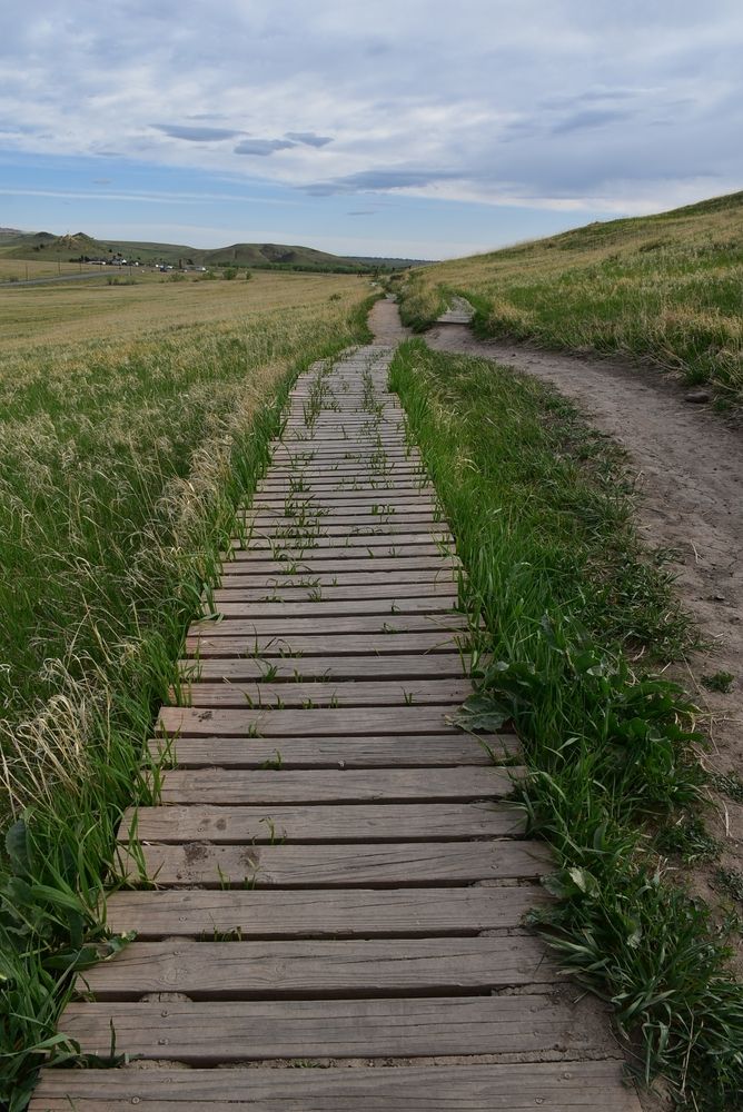 Boardwalk at North Table Mountain