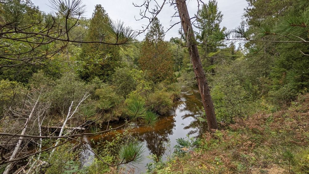 River flowing through Northeast Michigan