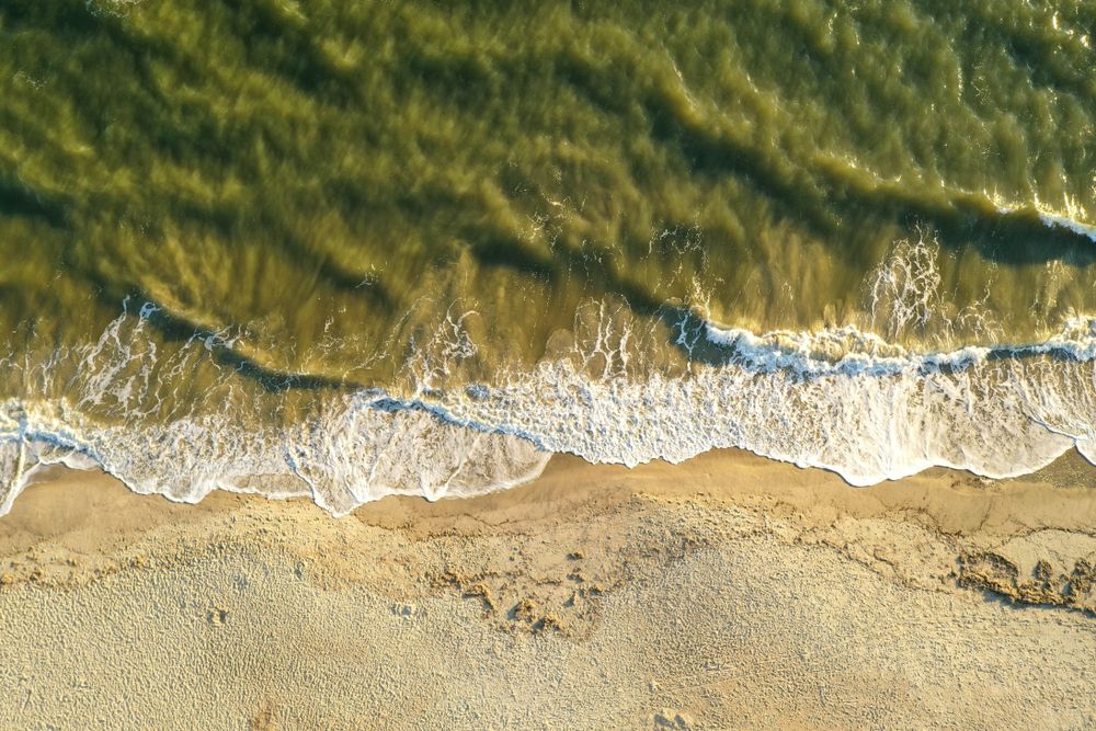 Shoreline of Oak Island 