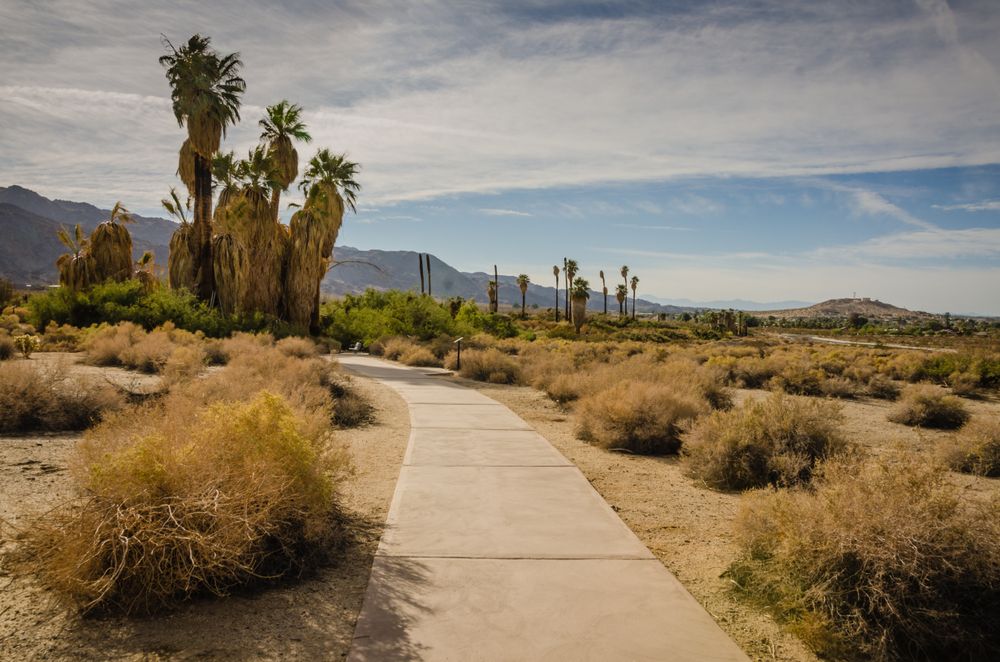 Hiking trail at Oasis of Mara
