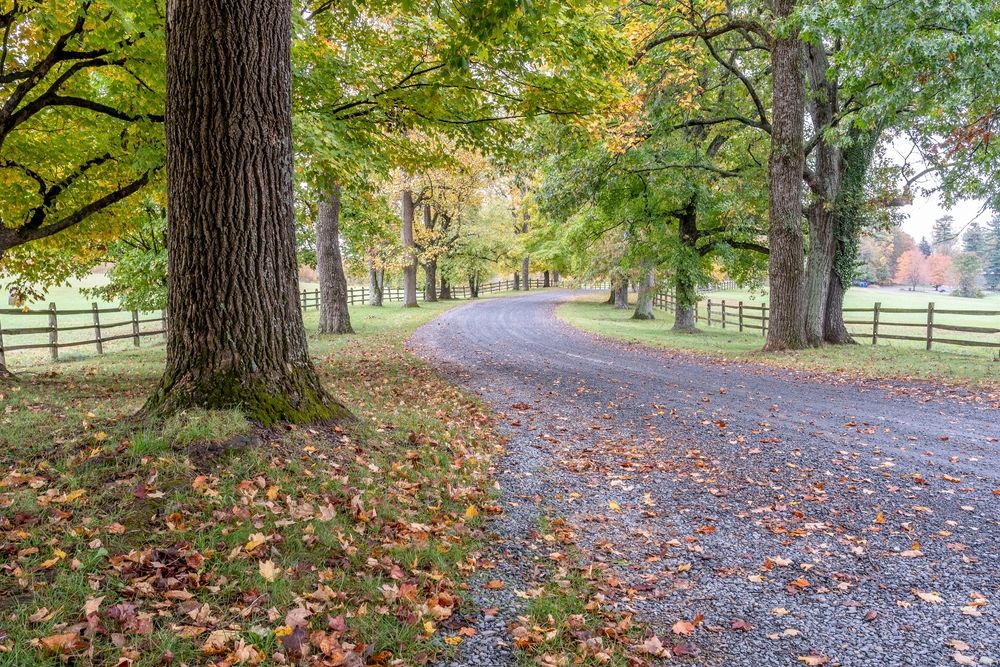 Driveway of Oatlands Historic House & Garden
