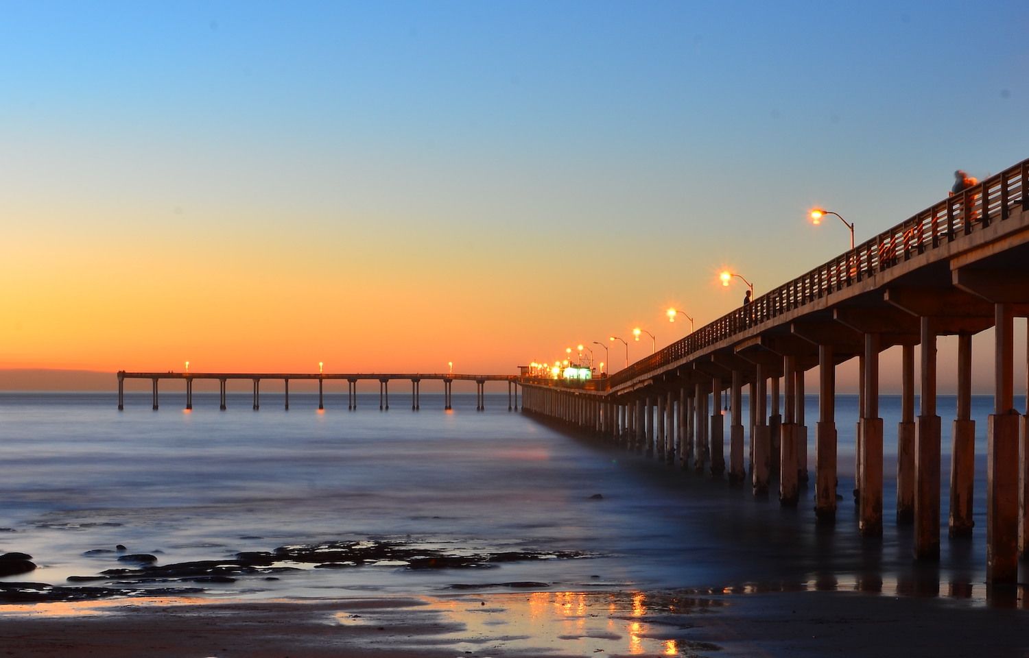 15 Best Things to Do in Ocean Beach, San Diego