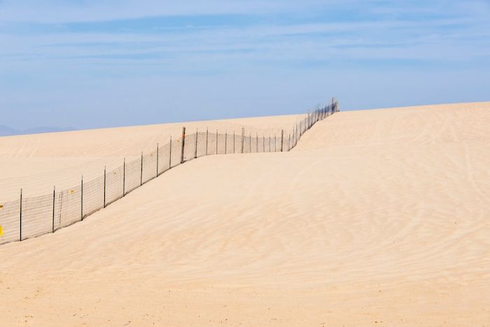 Sunny day at Oceano Dunes State Vehicular Recreation Area