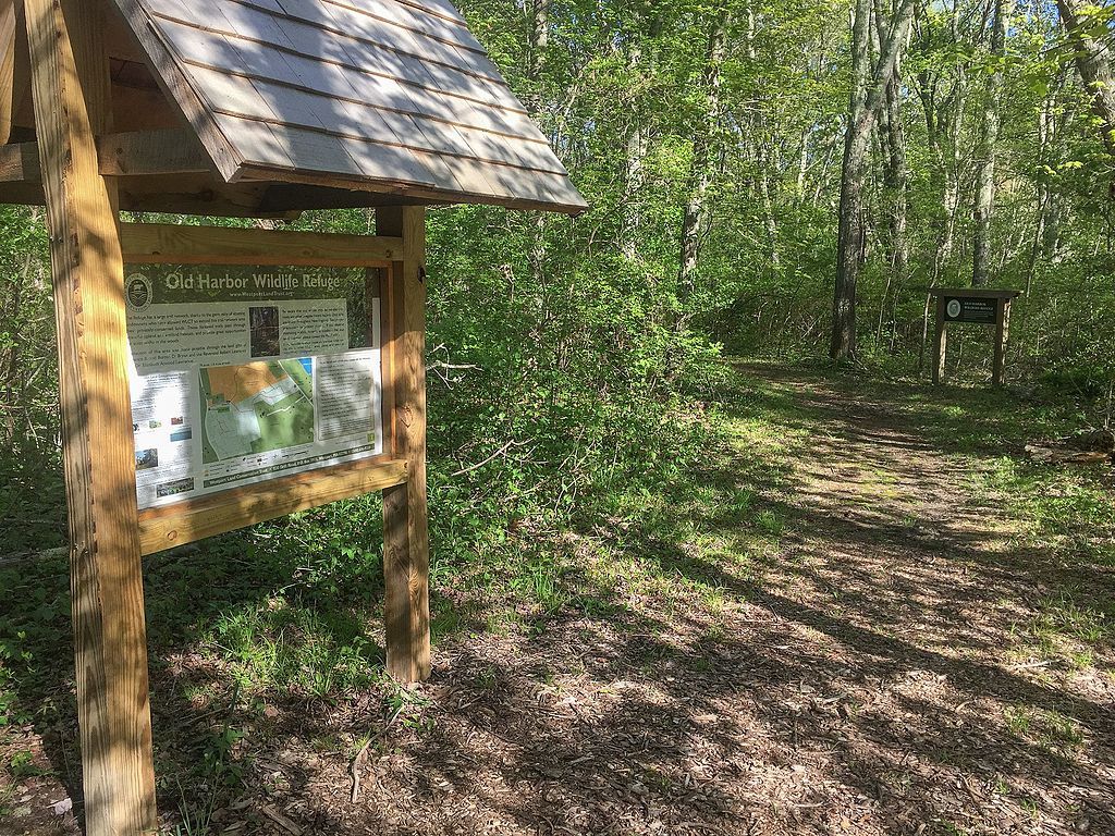 Narrow hiking trail at Old Harbor Wildlife Refuge