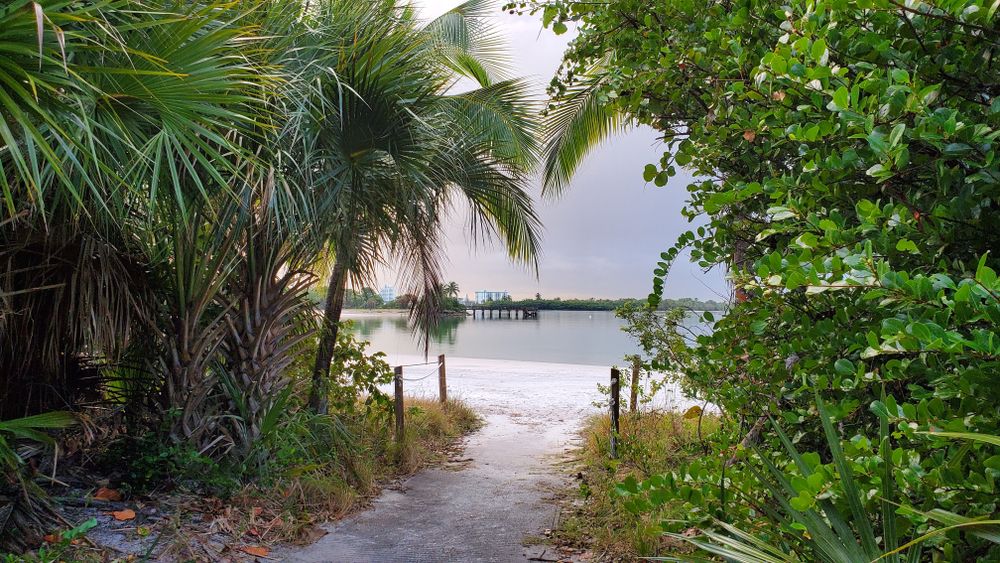 Beach at Oleta River State Park