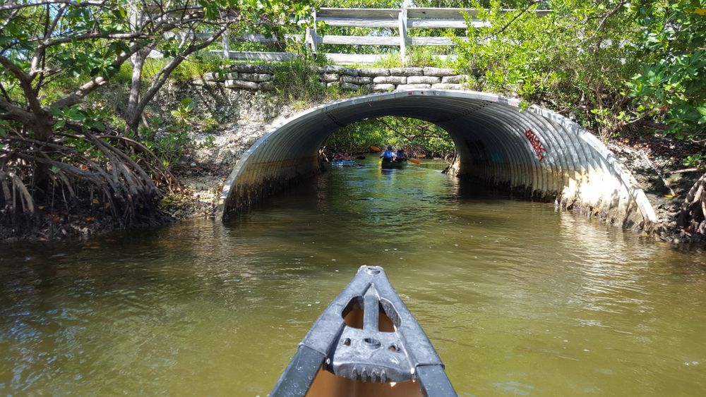 Canoe passing through a tunnel at Oleta River State Park