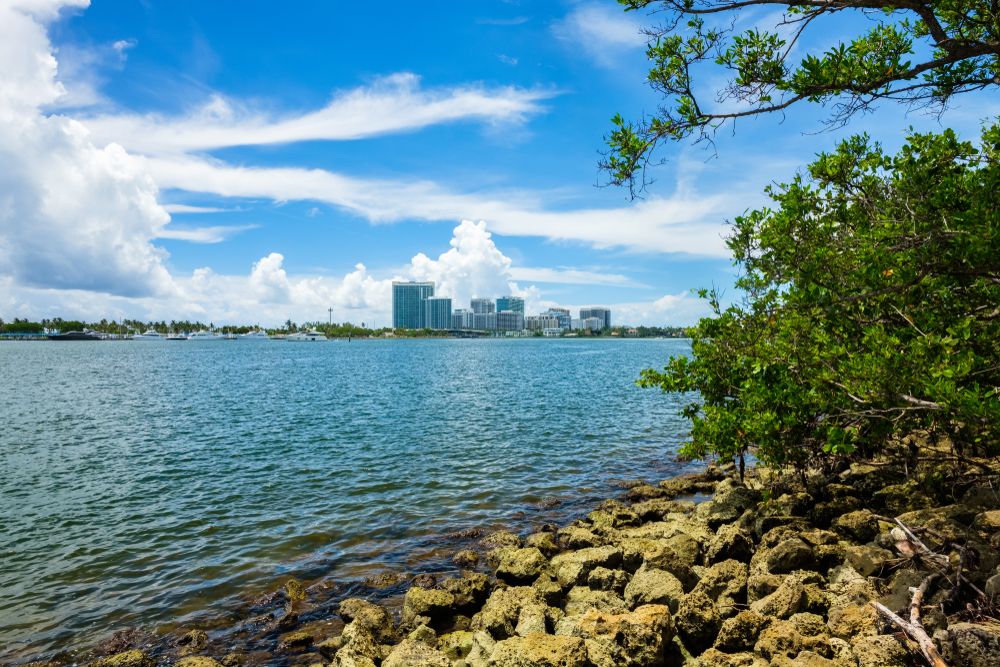 The waters of Oleta River State Park