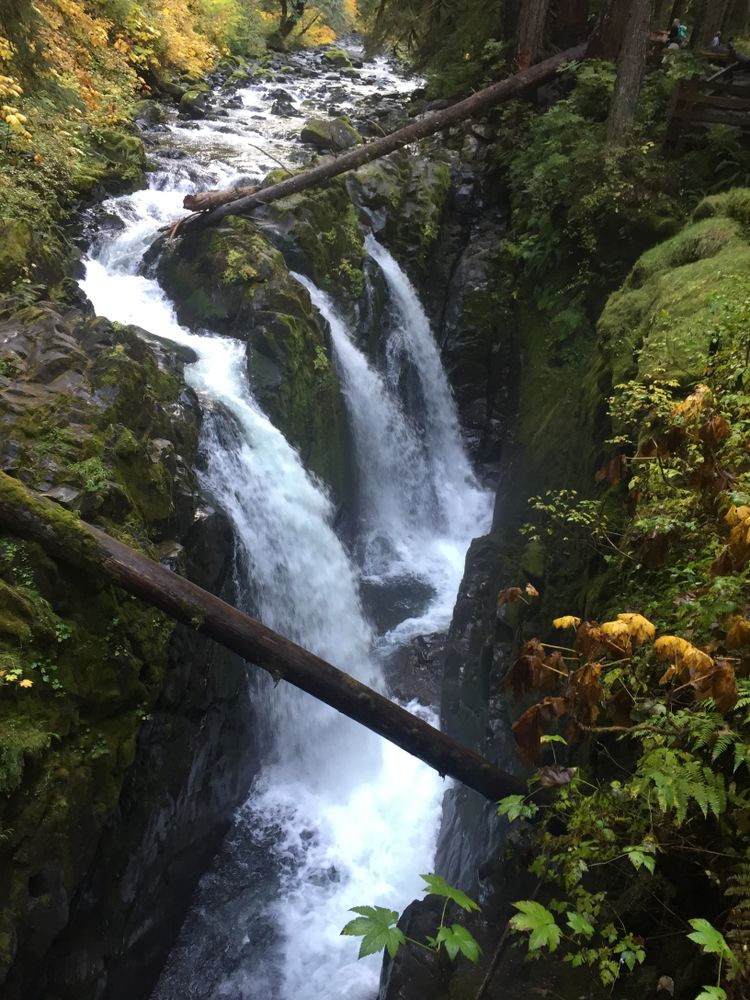 Waterfall at Olympic National Park
