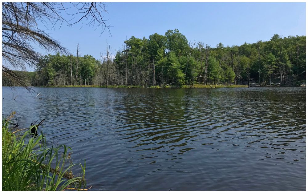 The waters of Onteora Lake