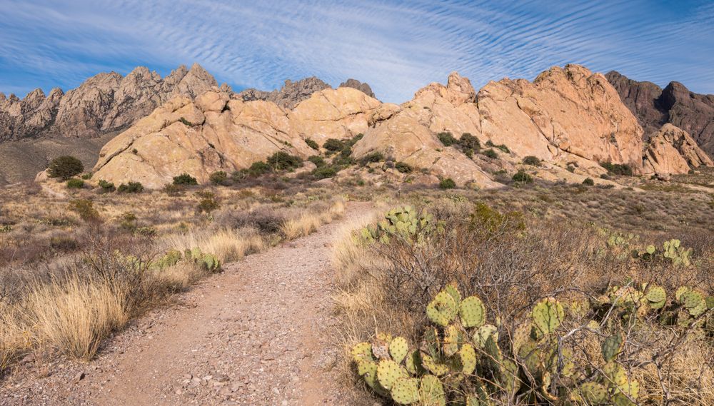 Naturalhiking trail at Organ Mountains-Desert Peaks National Monument