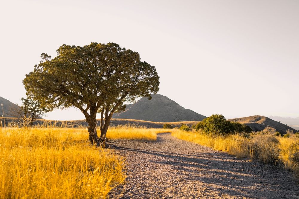 Nature trail at Organ Mountains-Desert Peaks National Monument
