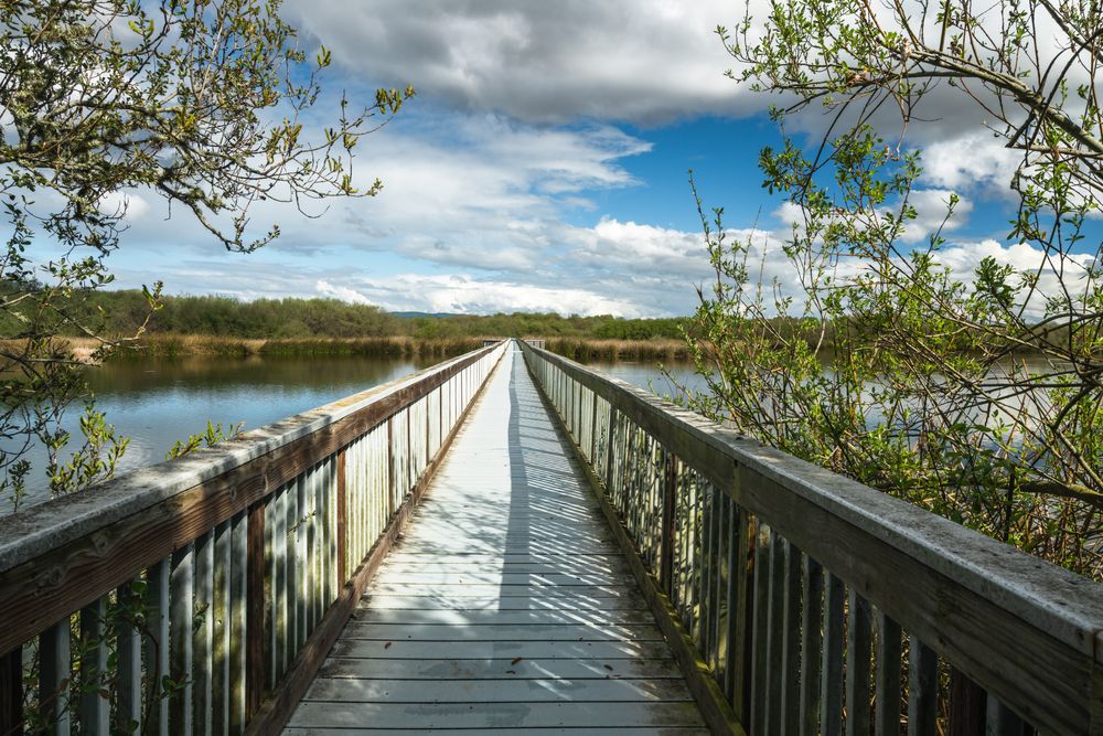 Boardwalk at Oso Flaco Lake Trail