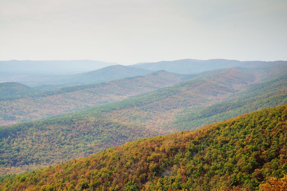 Aerial view of Ouachita National Forest