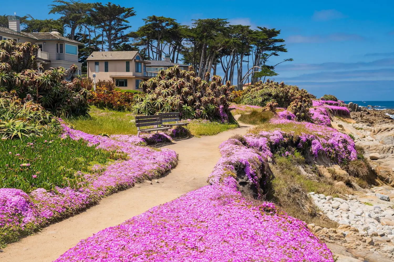 30 Best Things to Do in Pacific Grove, CA