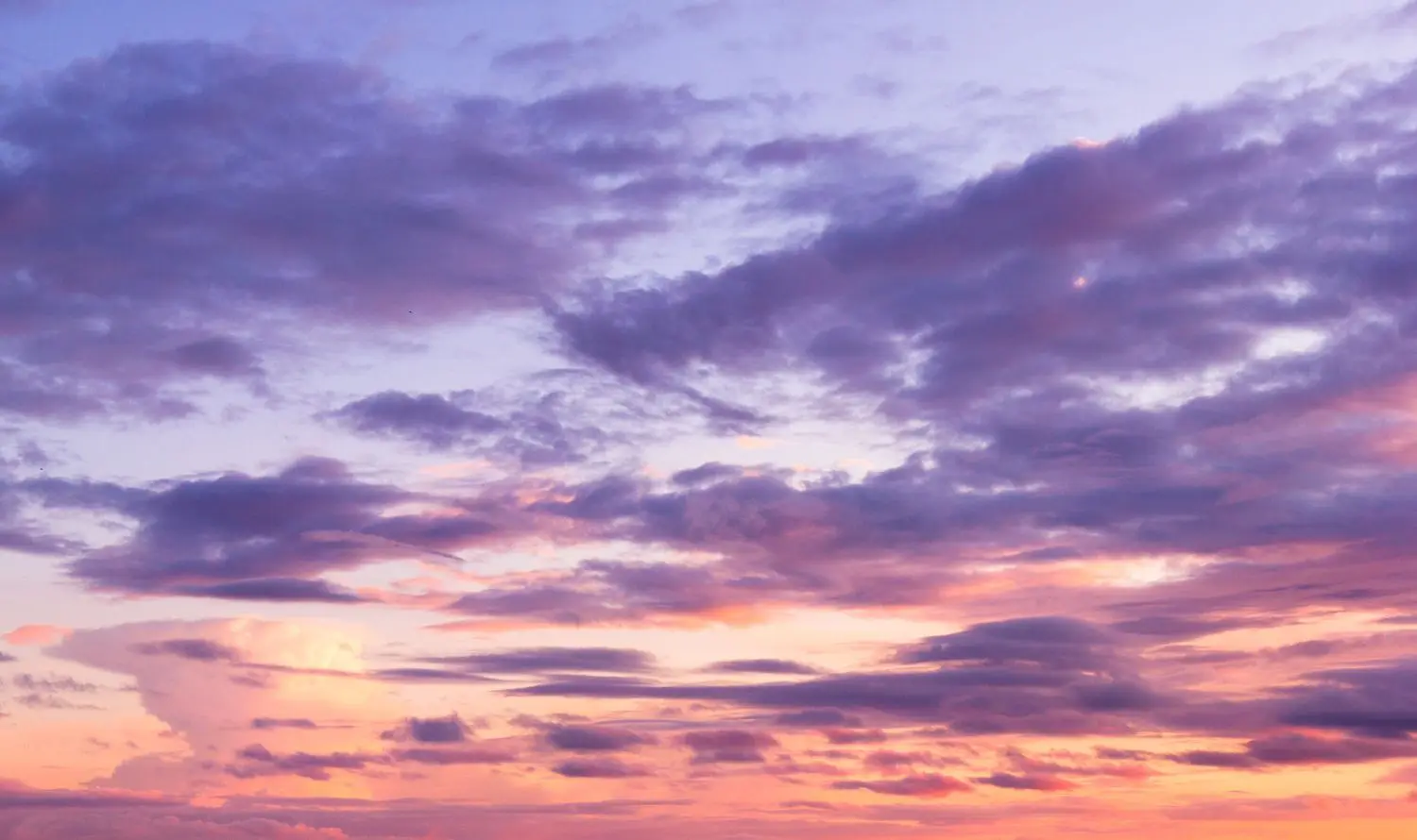 16 Best Things to Do in Palacios, TX
