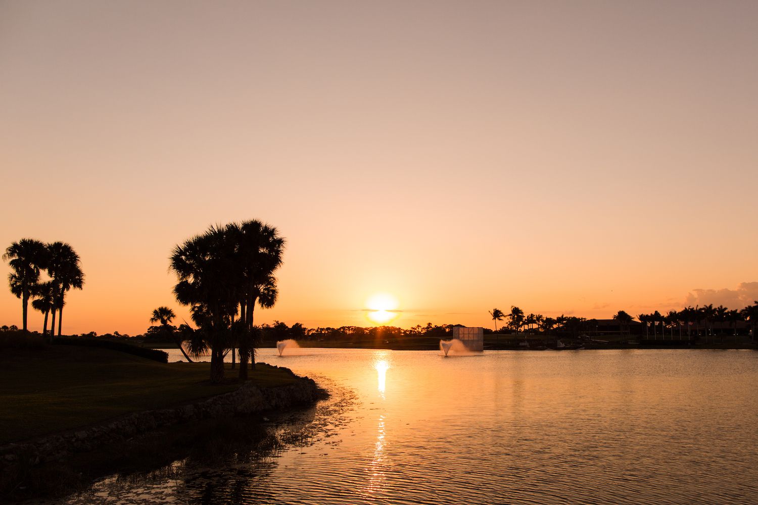 15 Best Things to Do in Palm Beach Gardens, FL
