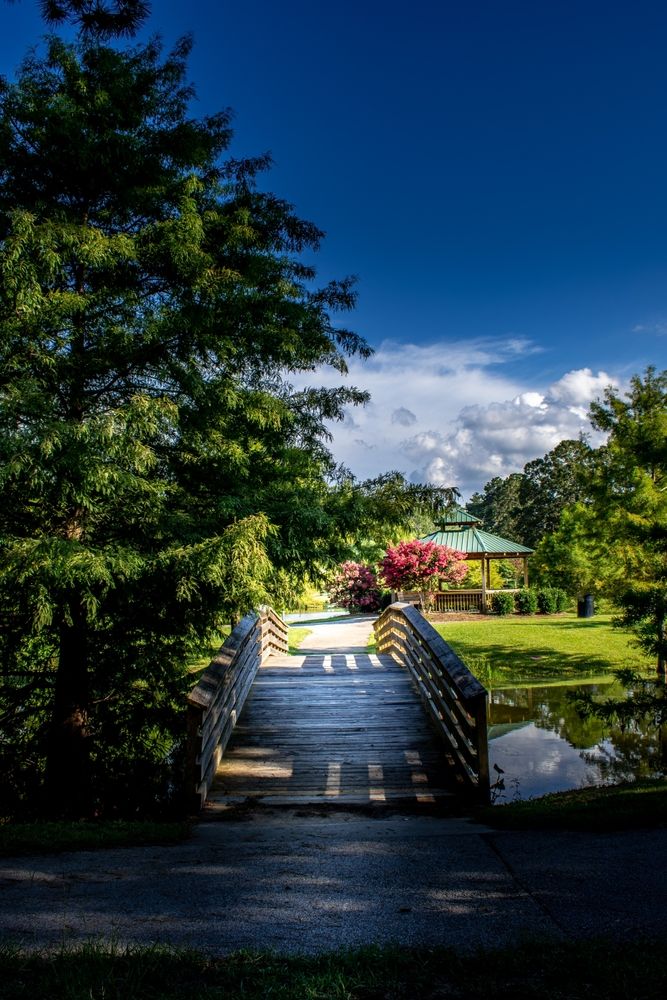 Scenic view of Palmetto Park