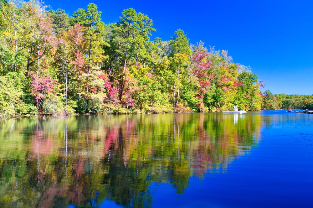 Lake at the Paris Mountain State Park