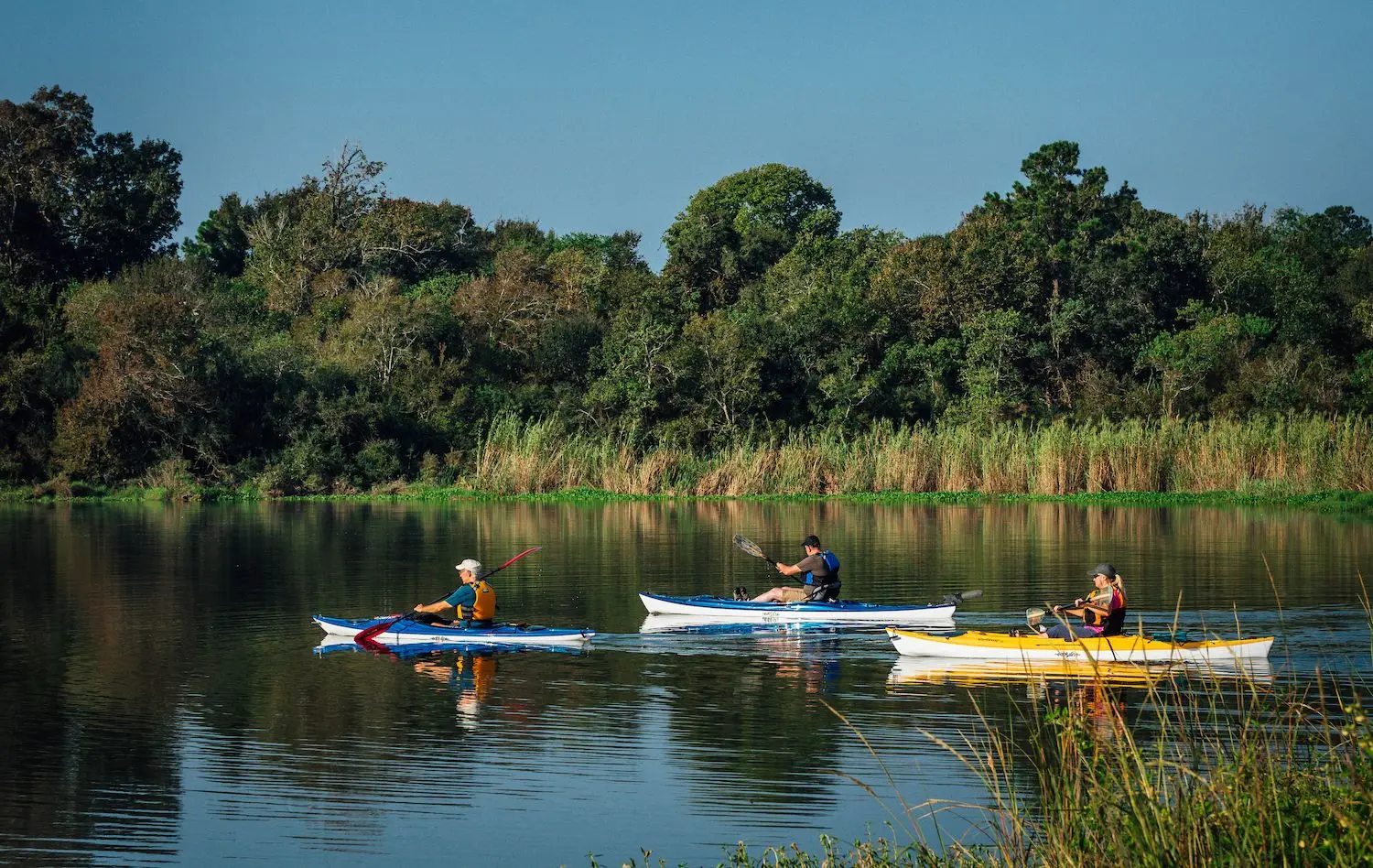 15 Best Things to Do in Pasadena, TX