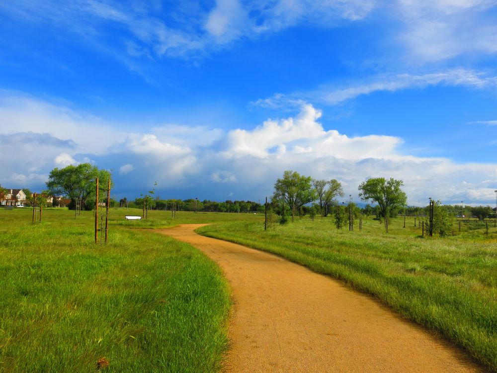Trail at Patelco Sports Complex