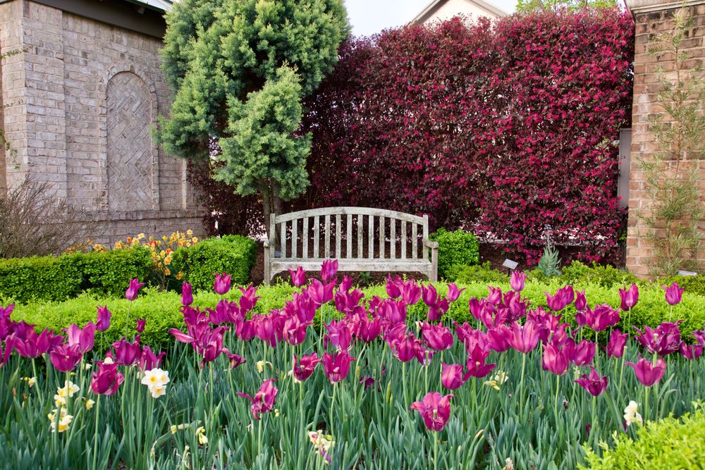 Paul J. Ciener Botanical Garden