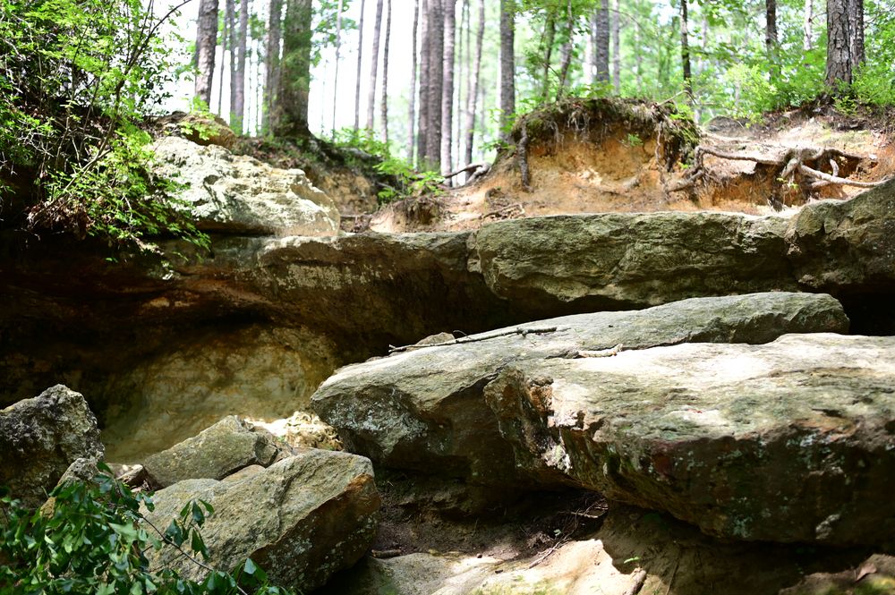 View of Peachtree Rock Heritage Preserve