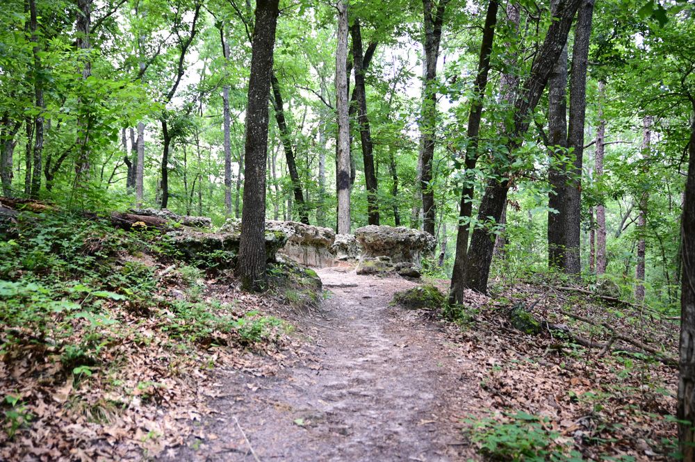 Natural hiking path at Peachtree Rock Heritage Preserve