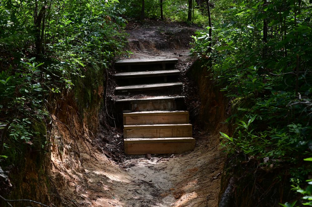 Steps along the trail at Peachtree Rock Heritage Preserve