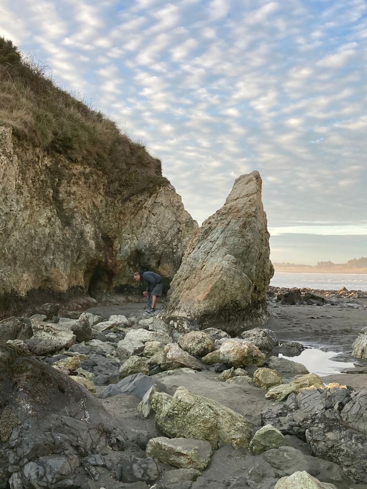 A man picking pebbles and rock on the shore of the Pebble Beach