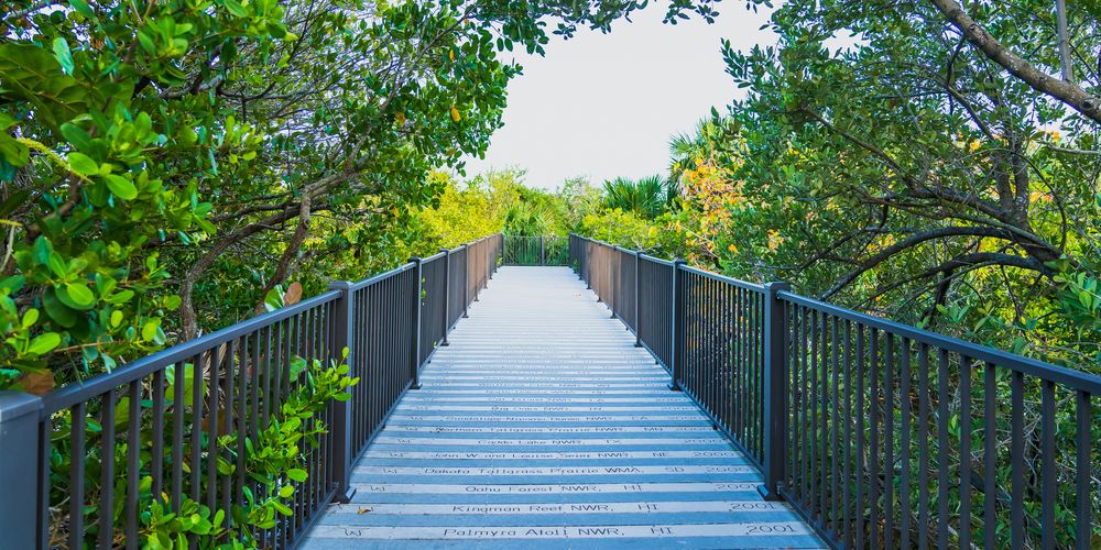 Beautiful wooden boardwalk in Pelican Island National Wildlife Refuge