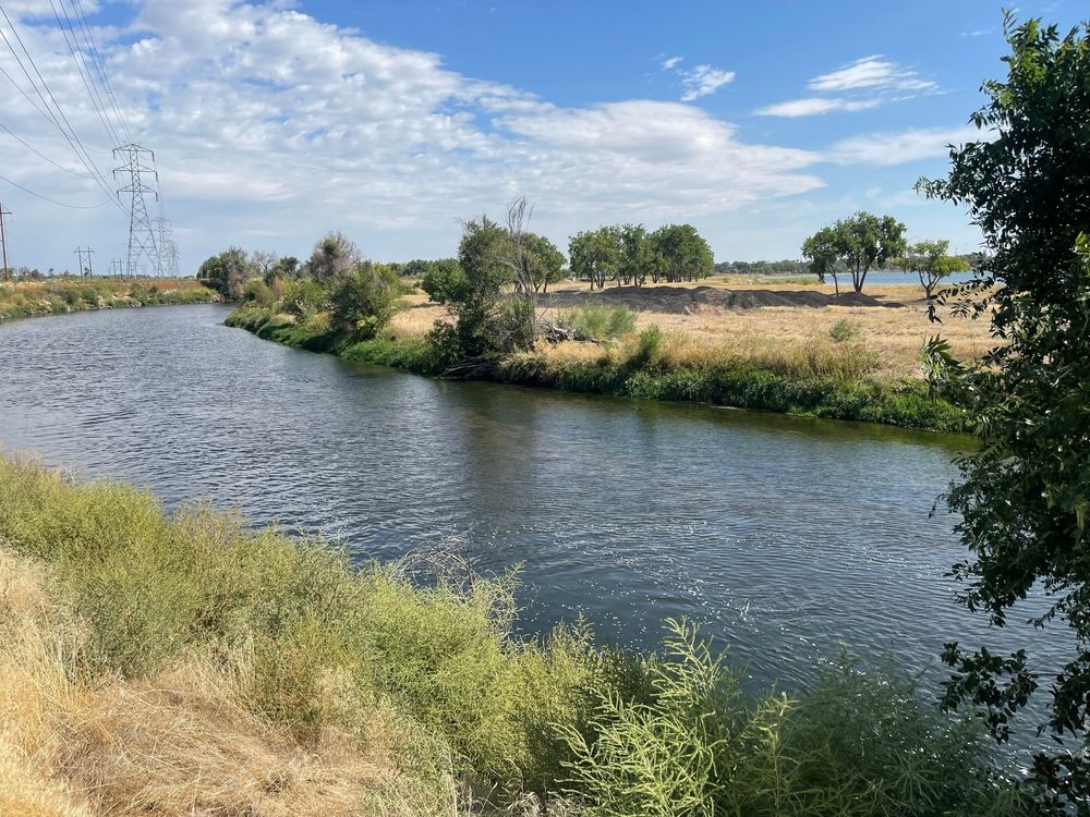 View of Pelicans Ponds Open Space