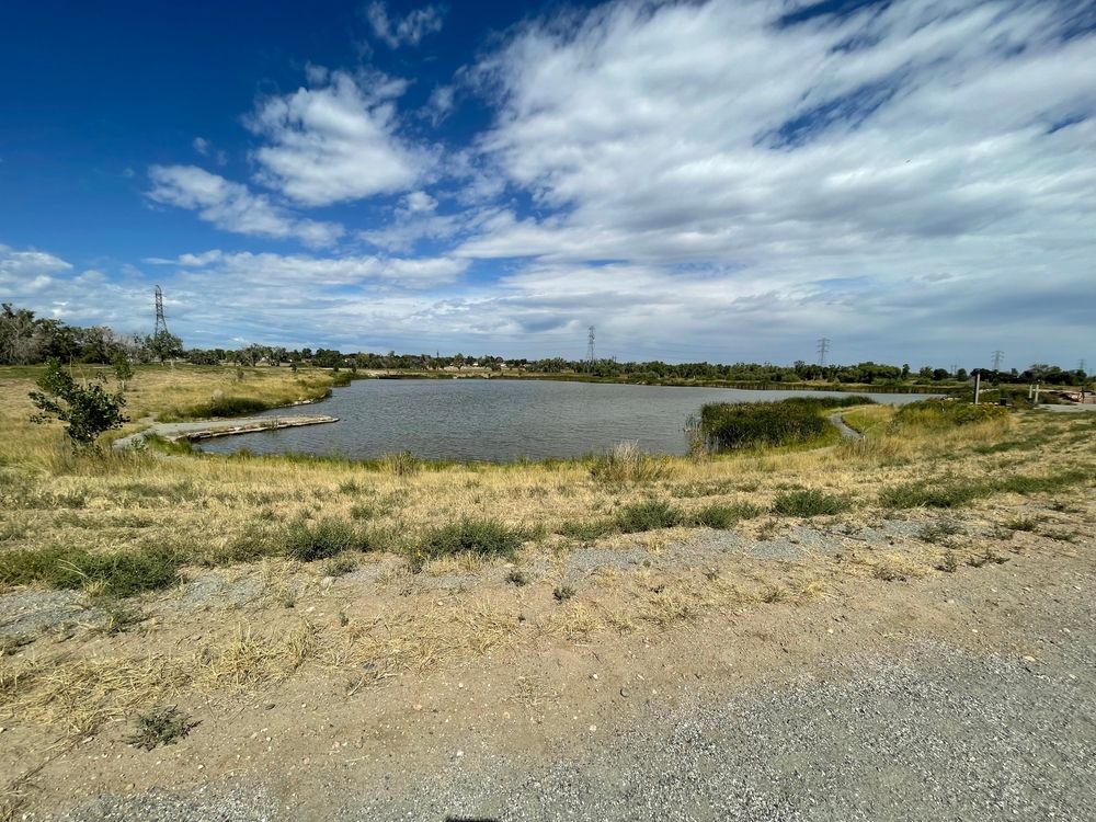 Pelicans Ponds Open Space on a bright sunny day