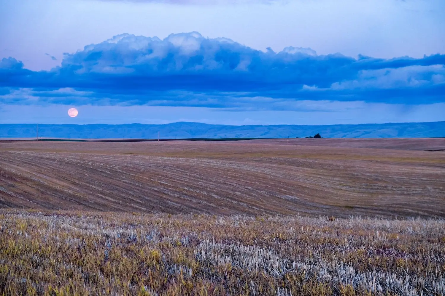 20 Best Things to Do in Pendleton, OR