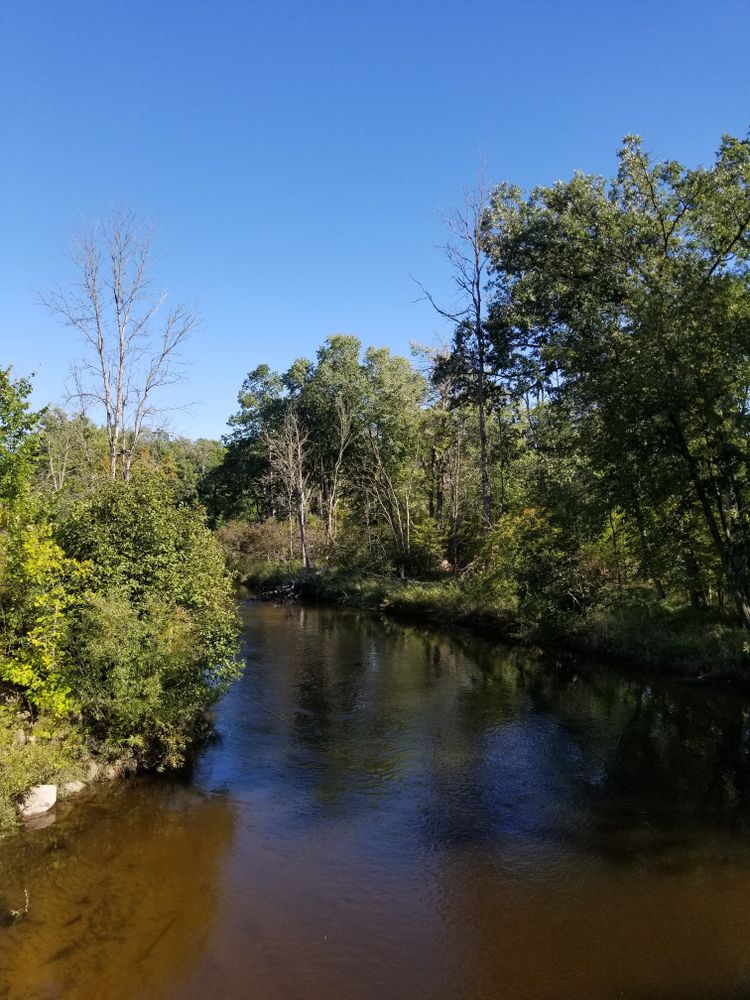 Tranquil water at Pere Marquette River