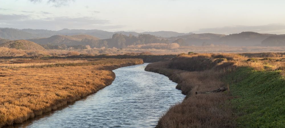 Pescadero Marsh Natural Preserve