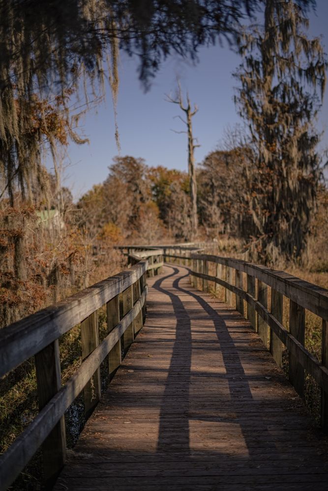 Boardwalk at Phinizy Swamp Nature Park