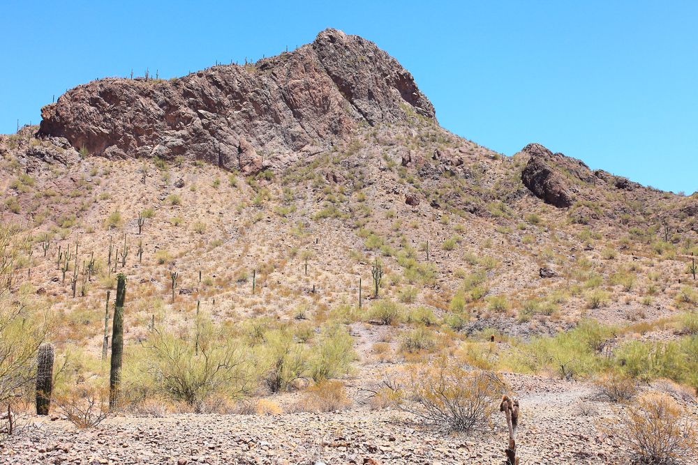 Landscape of Picacho Mountain