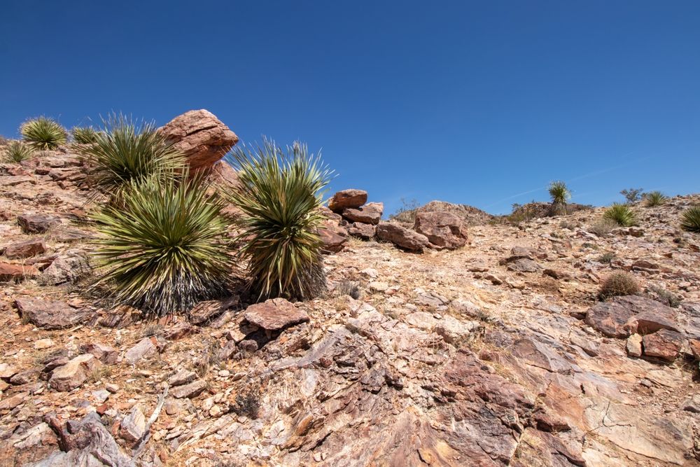 Landscape of Picacho Mountain