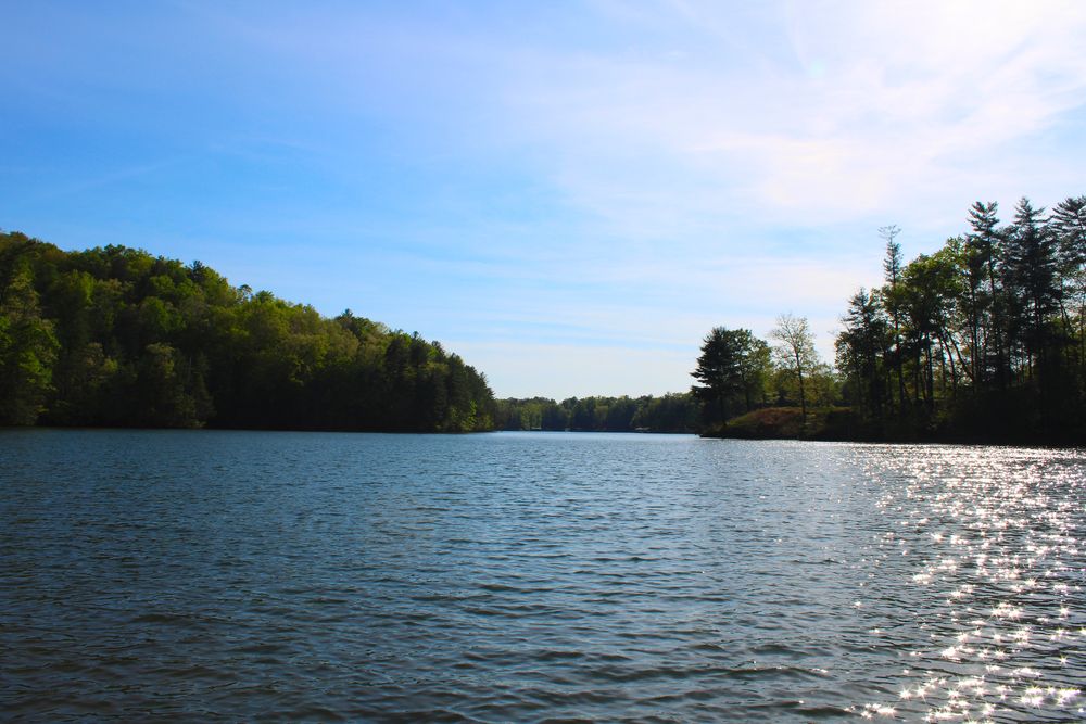 The waters of Keowee Toxaway State Park