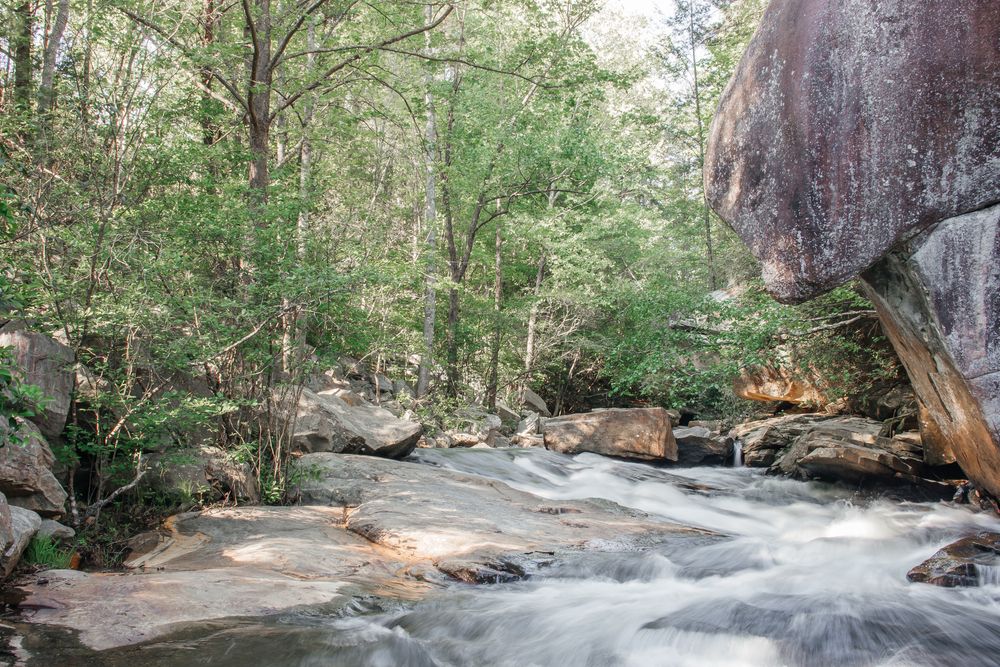 Trees surrounding the waters of Long Shoals Roadside Park