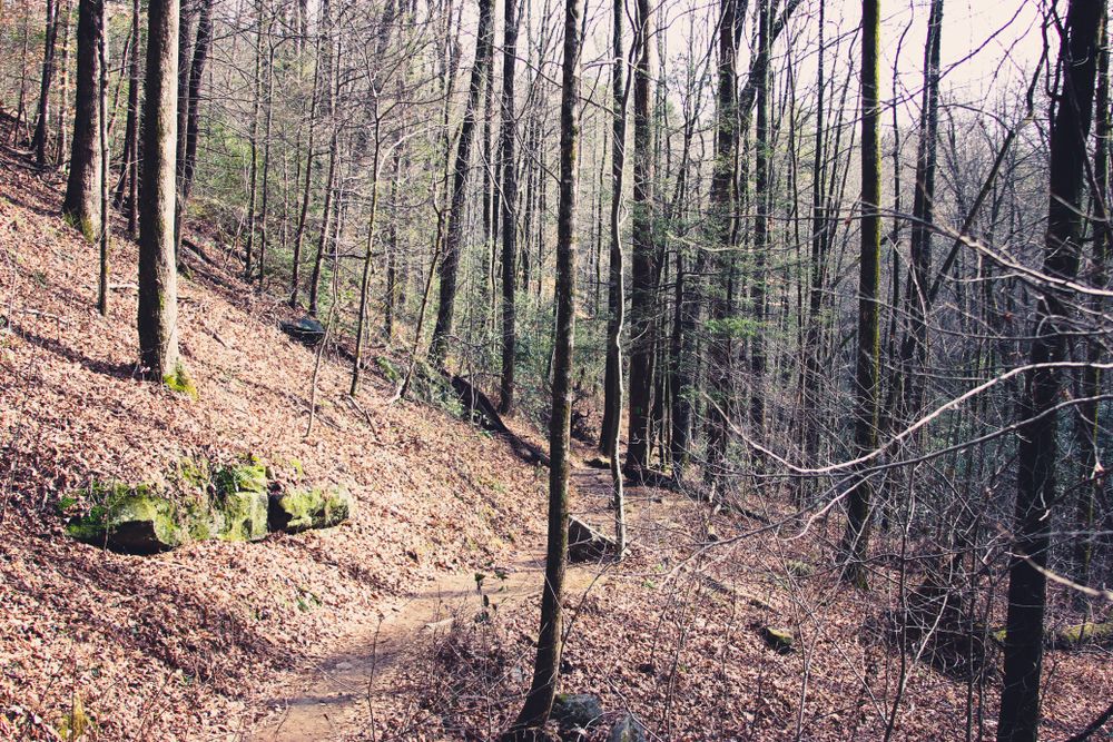 A trail in the woods of Table Rock State Park