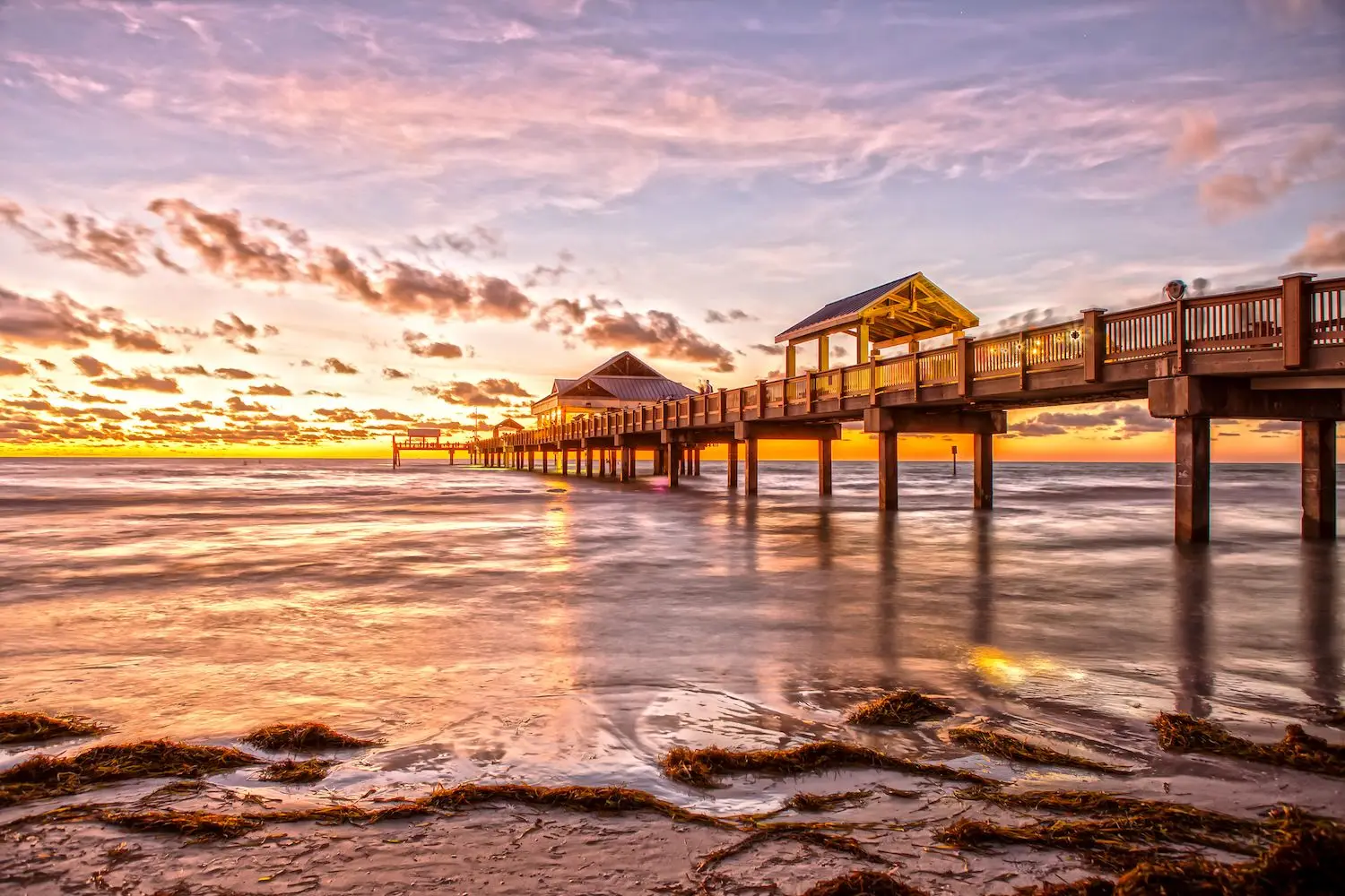 15 Best Things to Do in Pinellas County, FL